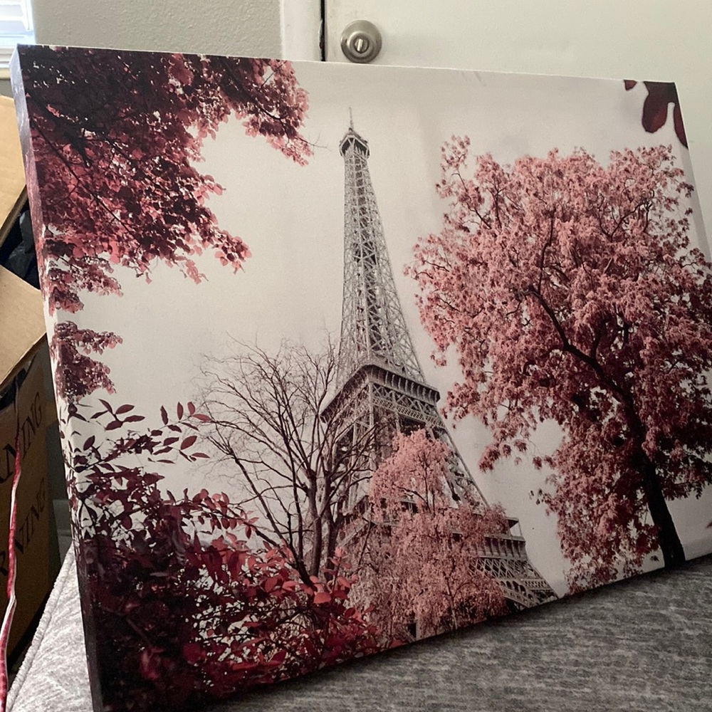 Pink and silver Paris photo